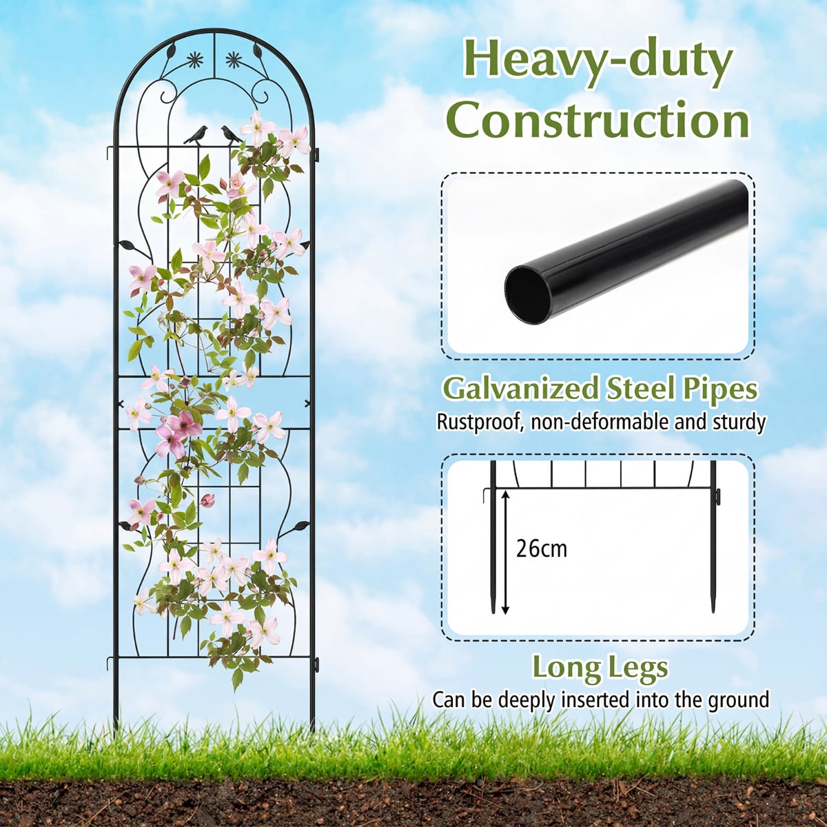 2 Pack Metal Garden Trellis for Climbing Plants-Black