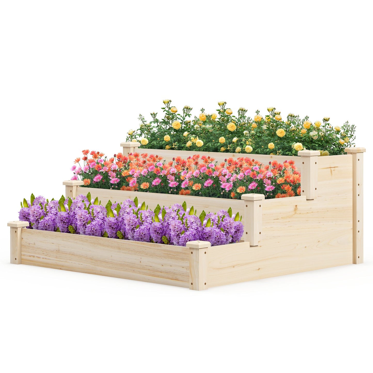 3-tier Fir Wood Raised Garden Bed with Open-ended Base