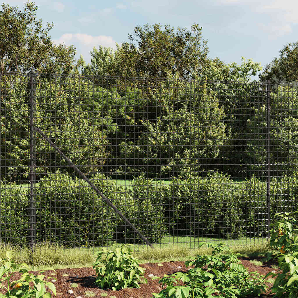 Wire Mesh Fence Anthracite