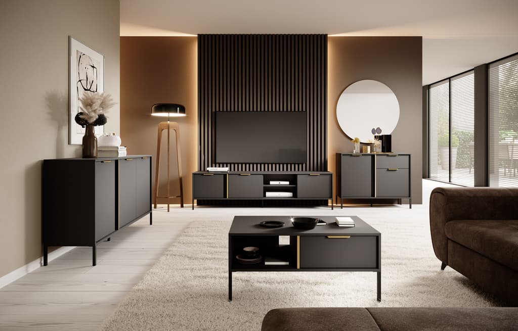 Modern living room with black furniture and decor