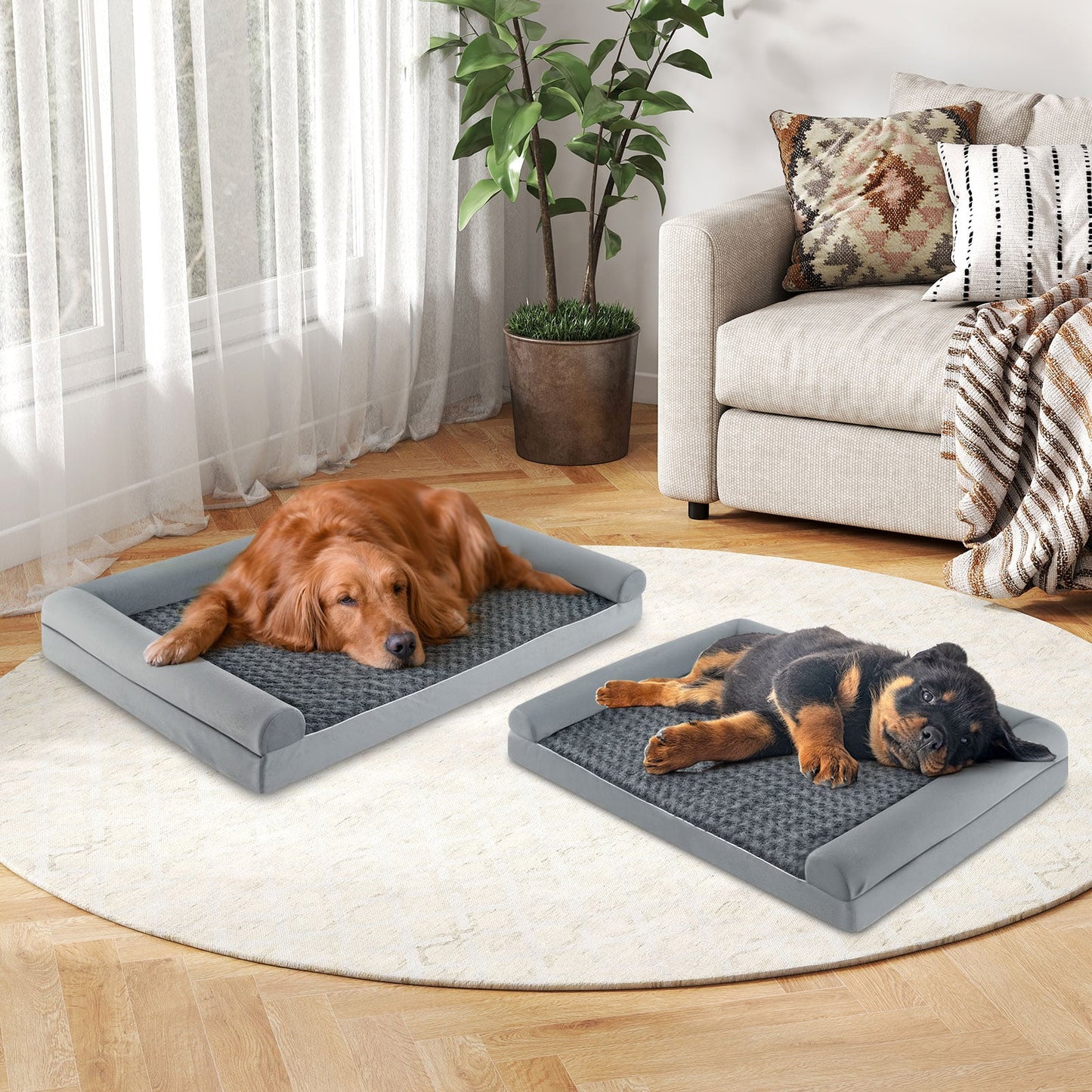 Orthopedic Foam Dog Bed L Sized Large Pet Bed-XL