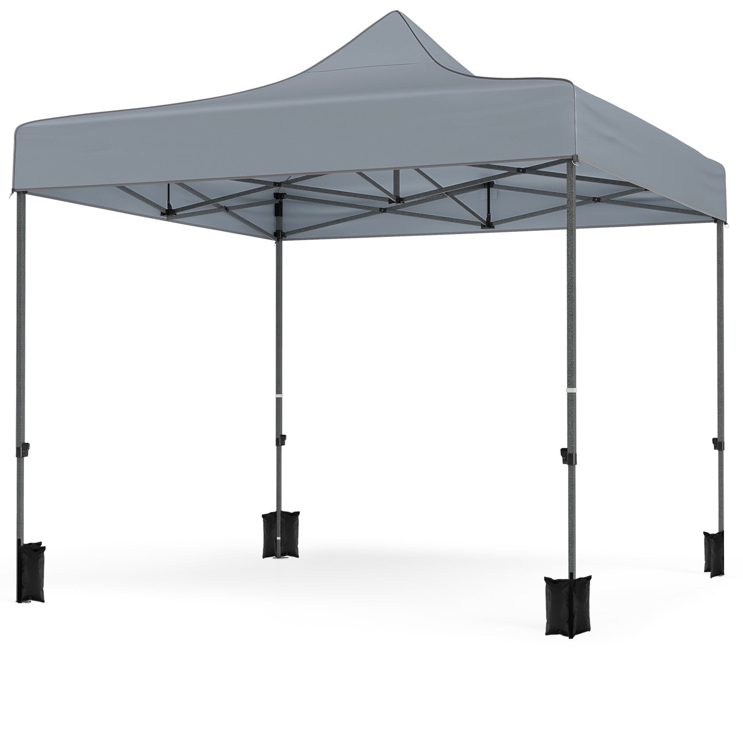 10 x 10 Feet Pop up Canopy Tent with 4 Removable Sidewalls-Grey