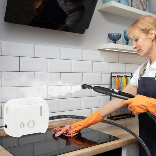 1600W Portable Steam Cleaner with 1L Water Tank-White
