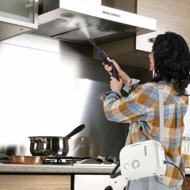 1600W Portable Steam Cleaner with 1L Water Tank-White