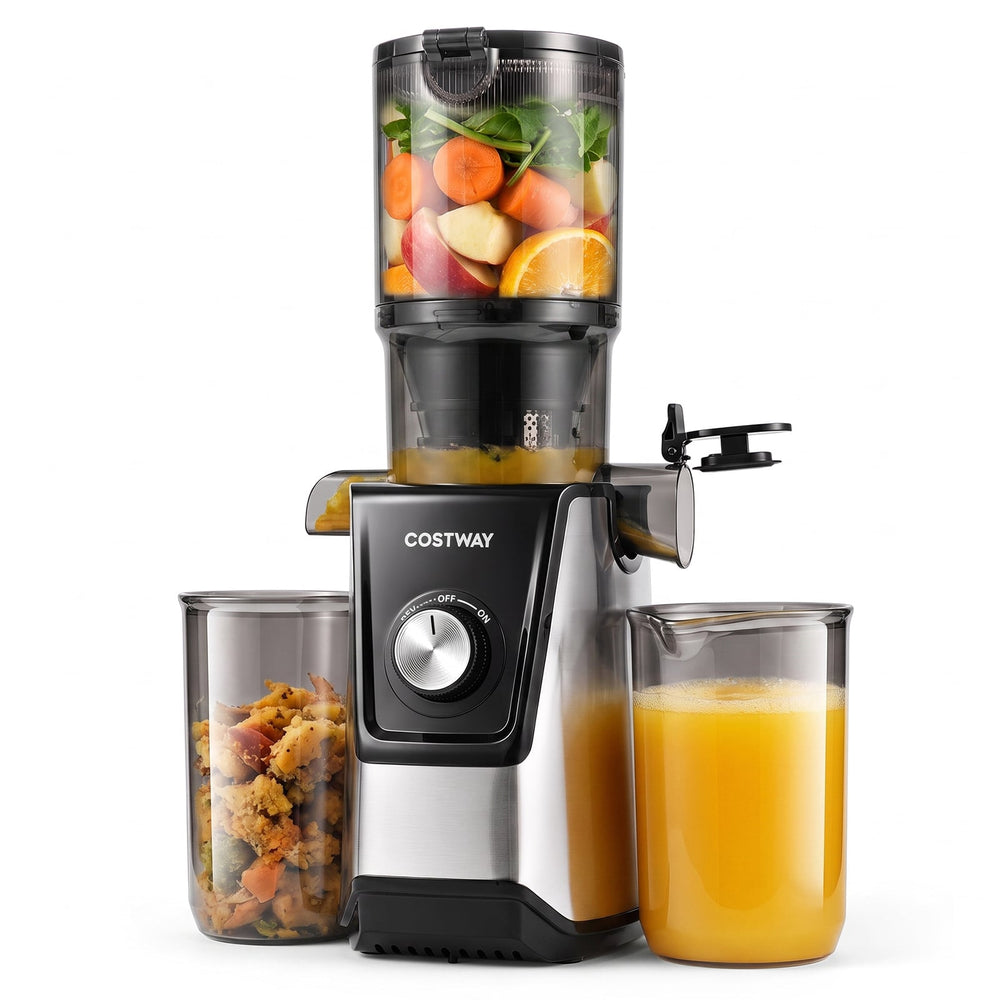 160W Cold Press Juicer w/ Dual Outlets & Wide Chute for Whole Fruits Vegetables-Black