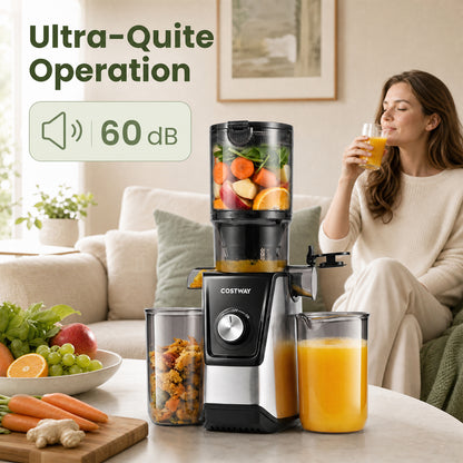 160W Cold Press Juicer w/ Dual Outlets & Wide Chute for Whole Fruits Vegetables-Black