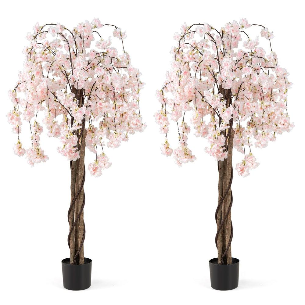 163CM Tall Artificial Cherry Blossom Tree with Flowers Set of 2-White