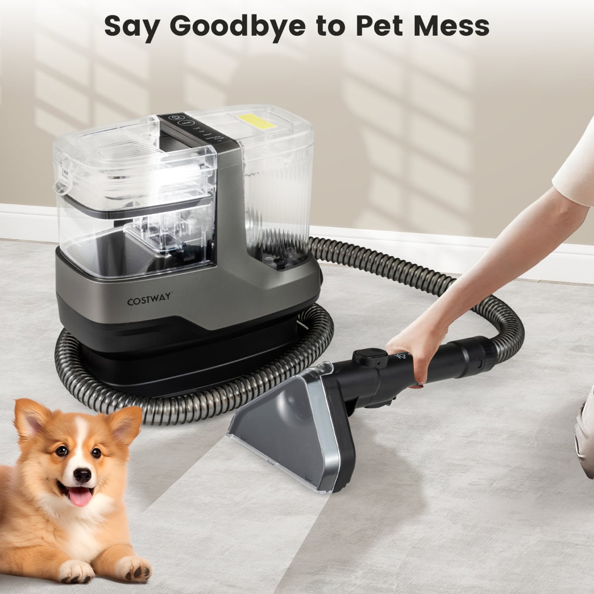 1800W Portable Spot Cleaner with Steam-Black