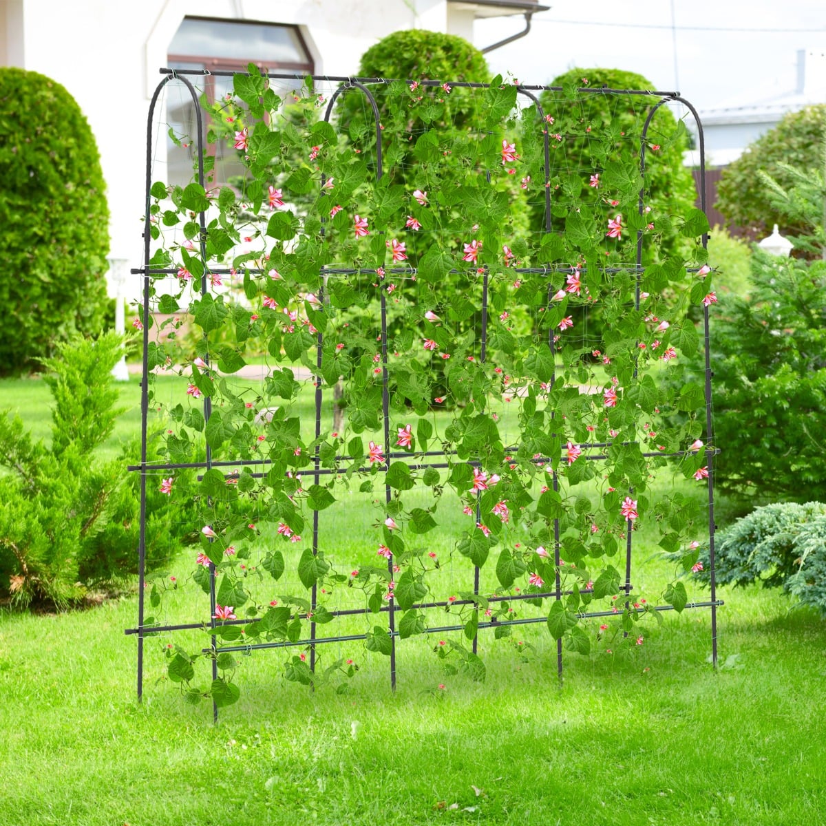 180 x 180 cm U-Shaped Garden Arched Trellis for Climbing Plants