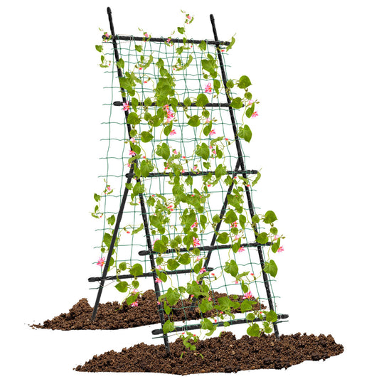 190cm x 80cm Cucumber Trellis for Raised Bed
