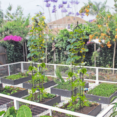 2-Pack 197 cm Garden Trellis for Climbing Plants-Black