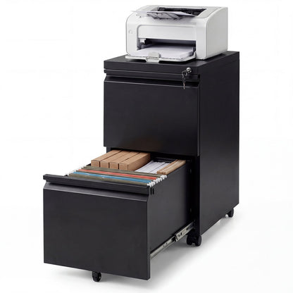 2-Drawer Mobile File Cabinet with 5 Casters and 2 Keys for A4-Black