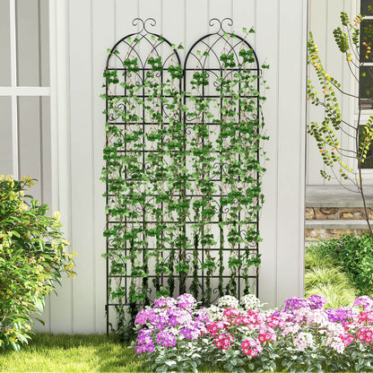 2 Pack 220 x 50 cm Metal Garden Trellis for Climbing Plants-Black