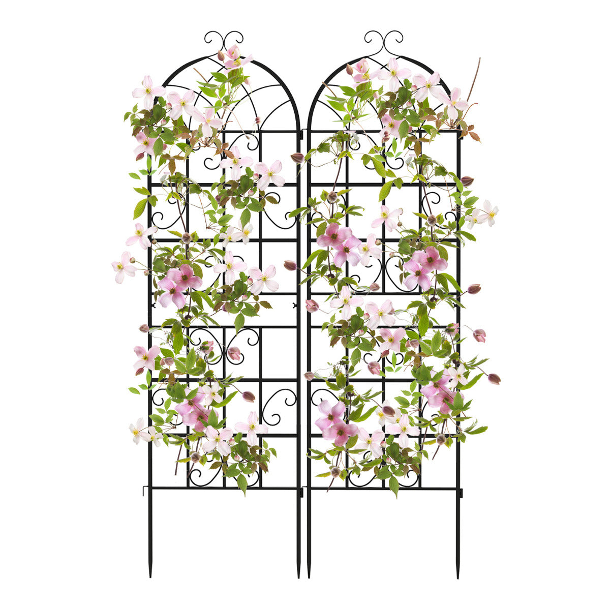 Set of 2 metal trellises, freestanding garden fences for planting, 180 x 50 cm, black