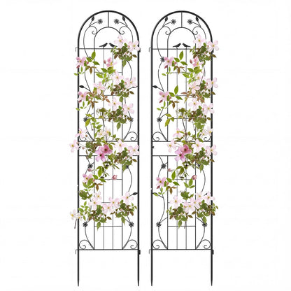 2 Pack Metal Garden Trellis for Climbing Plants Vegetables and Roses-Black