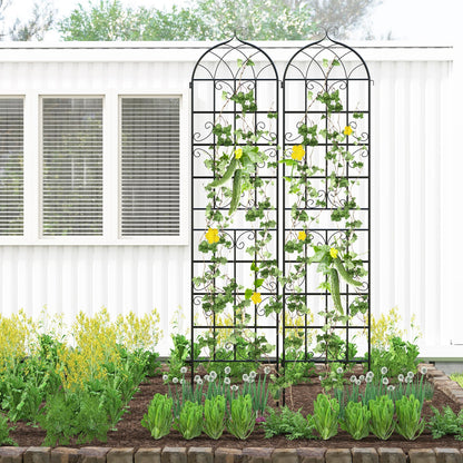 4 Pack 50 x 218 cm Metal Garden Trellis for Outdoor Climbing Plants