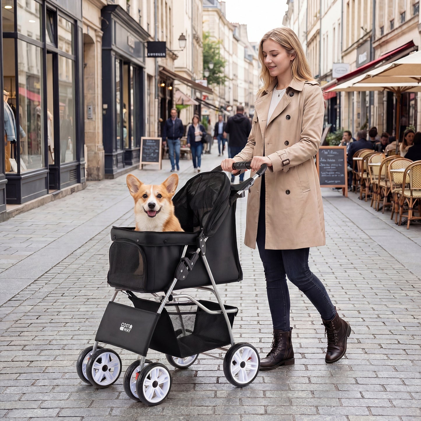 4-Wheel Pet Foldable Stroller with Breathable Mesh for Small Dogs Cats up to 15 KG-Black