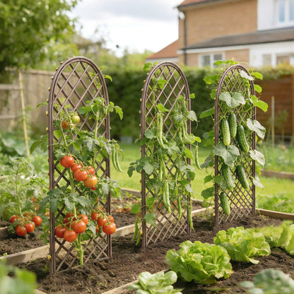 Outsunny Garden Arch, Garden Arbor with 8mm Wicker and Dome Top, Natural Wood Finish
