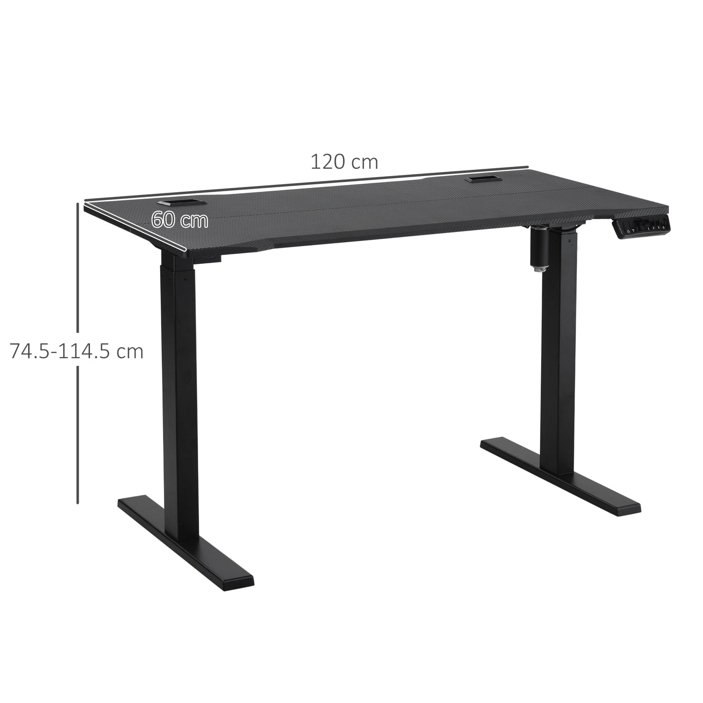 Vinsetto Electric Height Adjustable Standing Desk, 120 cm x 60 cm Memory Preset Stand Up Workstation for Home, Office, Black