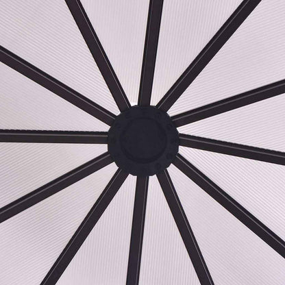 vidaXL Greenhouse Aluminium 240x211x232 cm 5