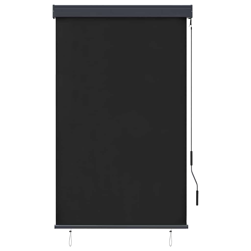 Outdoor Roller Blind 100 x 250 cm Anthracite
