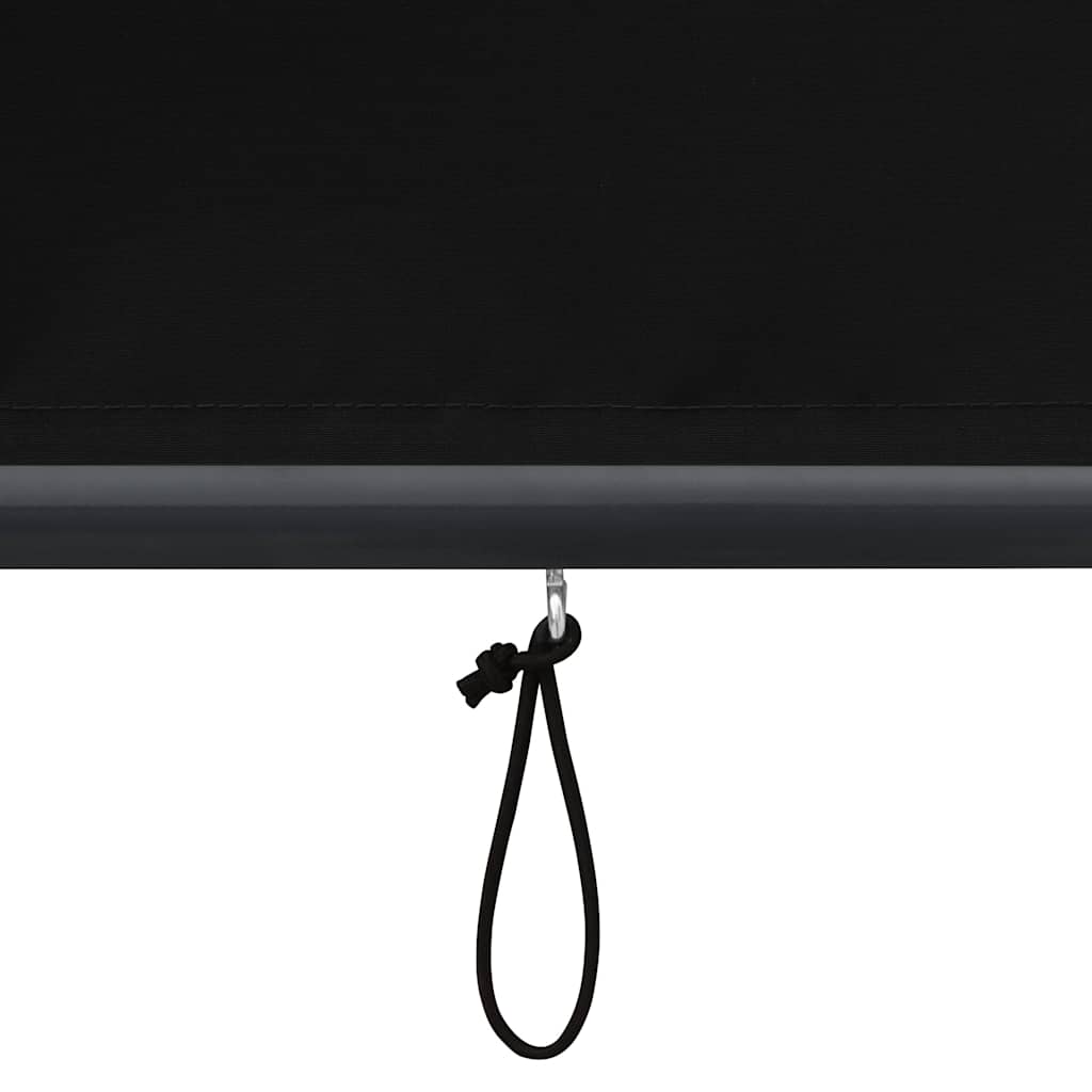 Outdoor Roller Blind 100 x 250 cm Anthracite