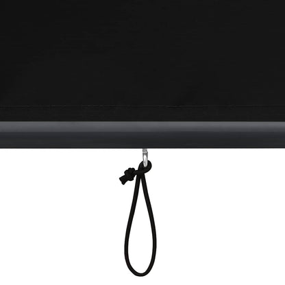 Outdoor Roller Blind 100 x 250 cm Anthracite