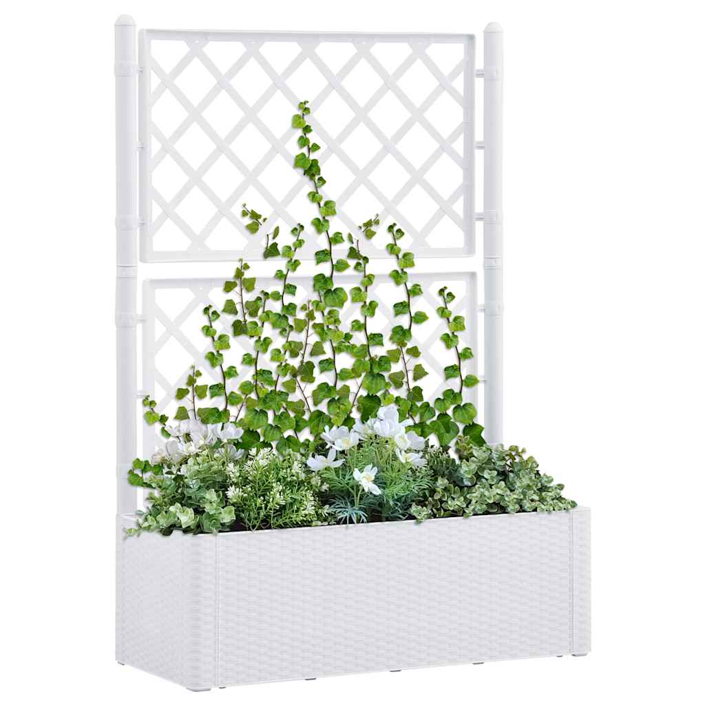 Garden Raised Bed with Trellis and Self Watering System White 100 x 43 x 142 cm