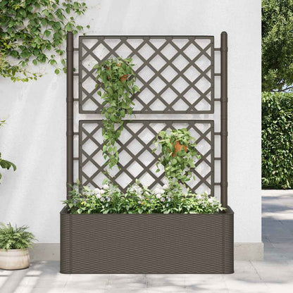 Garden Raised Bed with Trellis and Self Watering System Mocha 100 x 43 x 142 cm