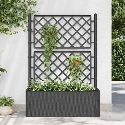 Garden Raised Bed with Trellis and Self Watering System Anthracite 100 x 43 x 142 cm