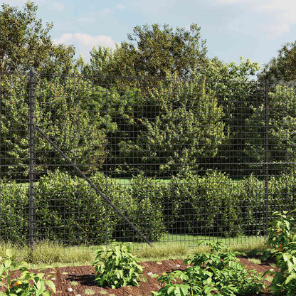 Wire Mesh Fence Anthracite