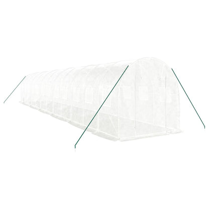 vidaXL Greenhouse with Steel Frame White 24 m² 12x2x2 m 3