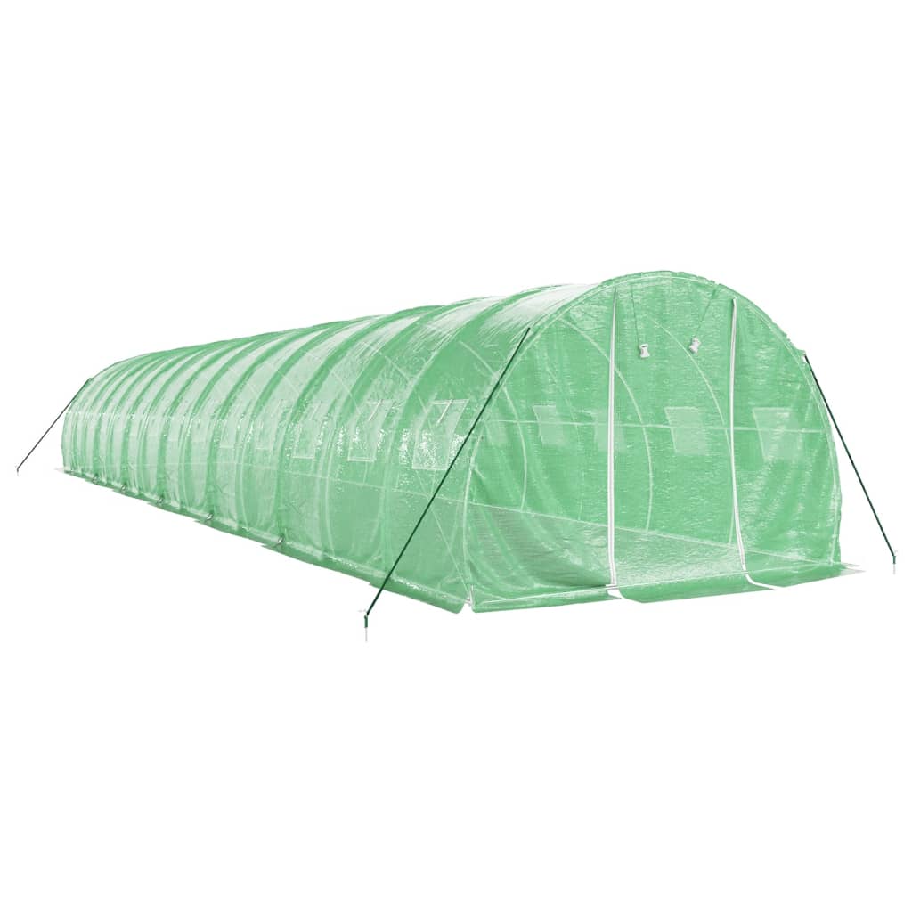 vidaXL Greenhouse with Steel Frame Green 42 m² 14x3x2 m 3