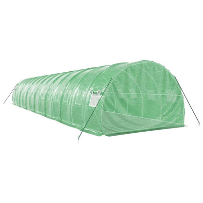 vidaXL Greenhouse with Steel Frame Green 42 m² 14x3x2 m 6