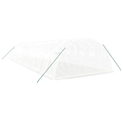 vidaXL Greenhouse with Steel Frame White 48 m² 12x4x2 m 6
