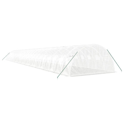 vidaXL Greenhouse with Steel Frame White 96 m² 24x4x2 m 6
