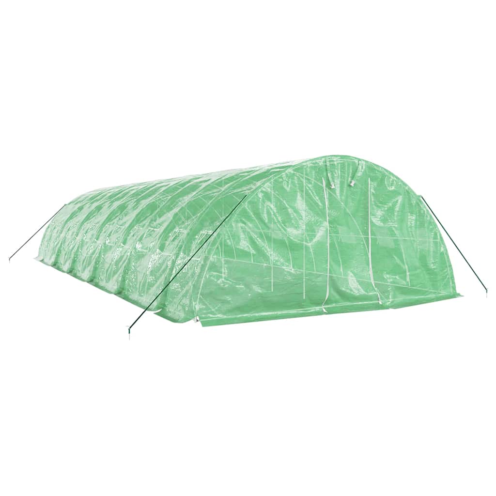 vidaXL Greenhouse with Steel Frame Green 60 m² 12x5x2,3 m 3