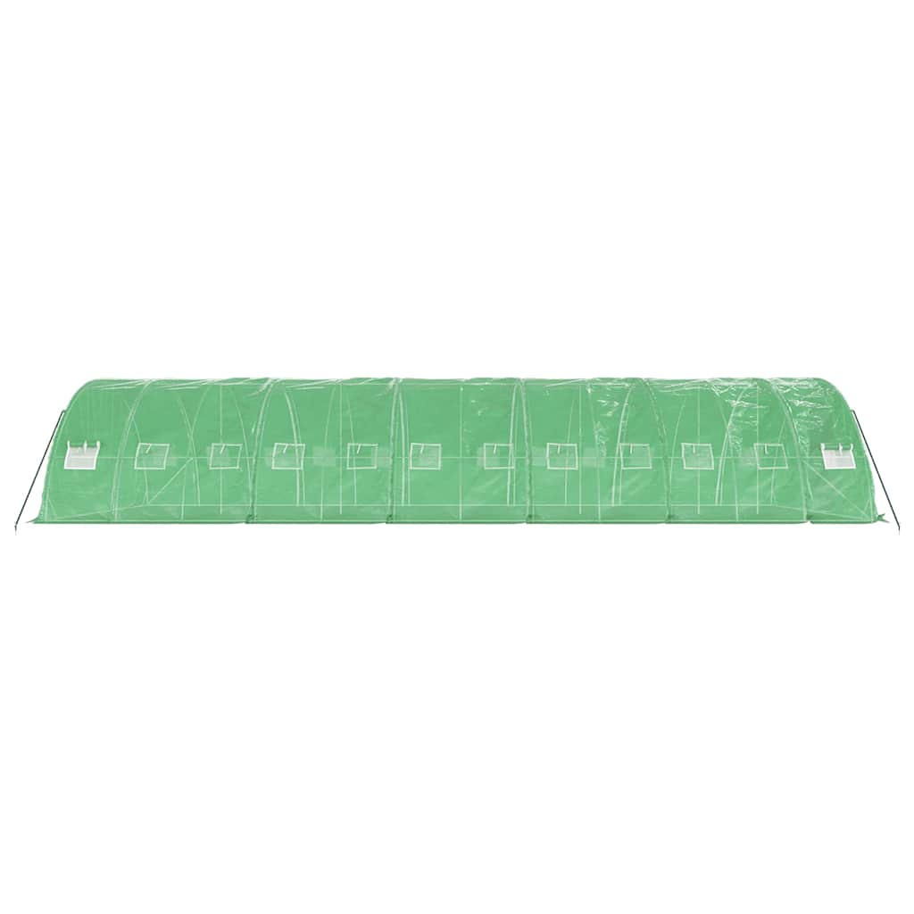 vidaXL Greenhouse with Steel Frame Green 60 m² 12x5x2,3 m 5