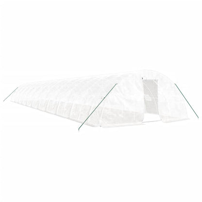 Greenhouse with Steel Frame 20 m² 5x4x2,3 m White 22 m