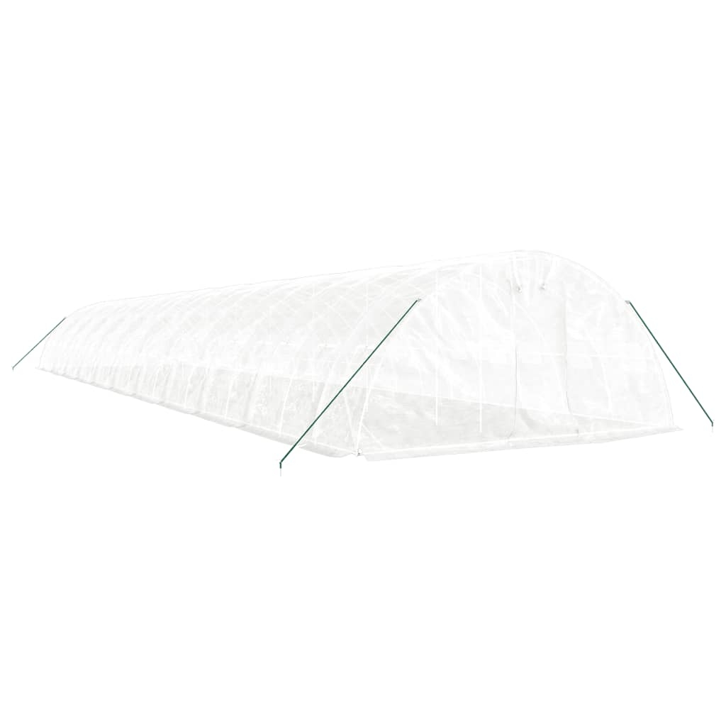 Greenhouse with Steel Frame 20 m² 5x4x2,3 m White 22 m