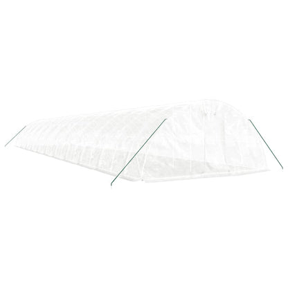Greenhouse with Steel Frame 20 m² 5x4x2,3 m White 22 m