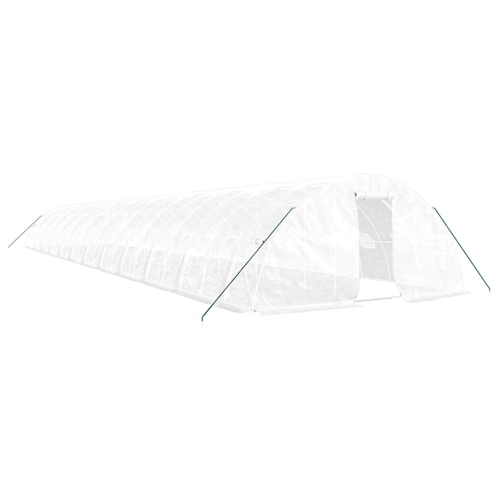 Greenhouse with Steel Frame 20 m² 5x4x2,3 m White 24 m
