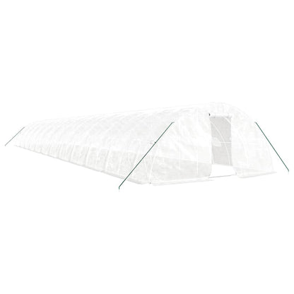 Greenhouse with Steel Frame 20 m² 5x4x2,3 m White 24 m
