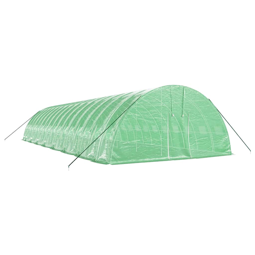 vidaXL Greenhouse with Steel Frame Green 96 m² 16x6x2,85 m 3