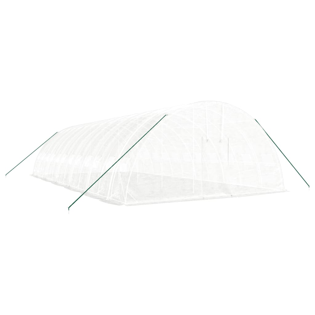 Greenhouse with Steel Frame 24 m² 6x4x2,85 m White 12 m