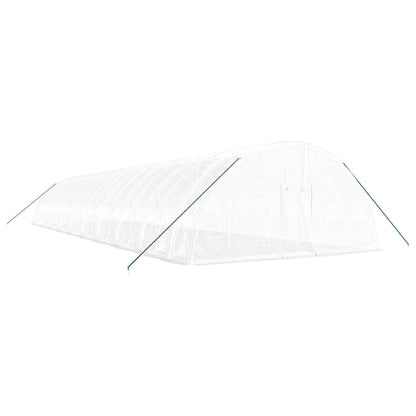 vidaXL Greenhouse with Steel Frame White 120 m² 20x6x2,85 m 3