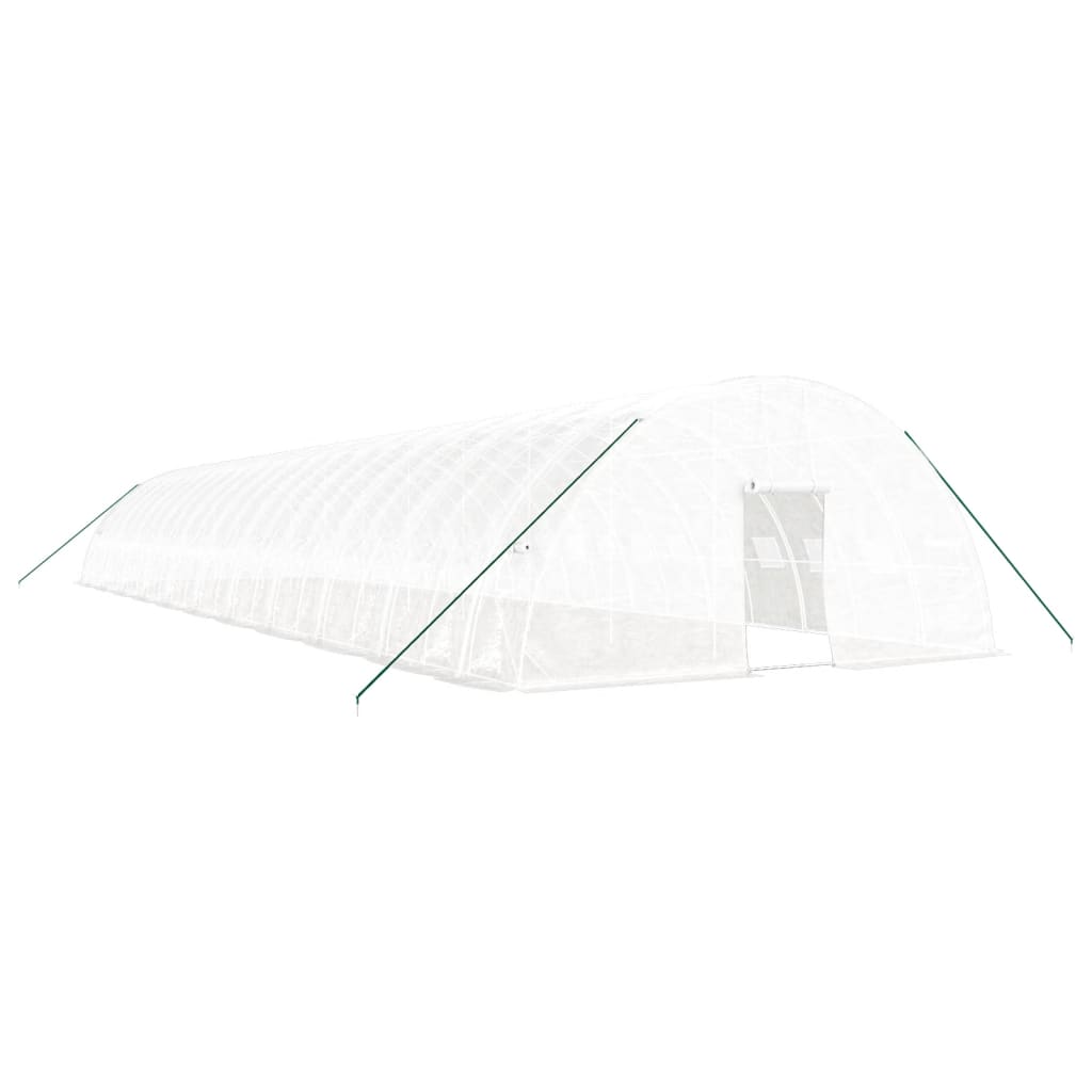Greenhouse with Steel Frame 24 m² 6x4x2,85 m White 22 m