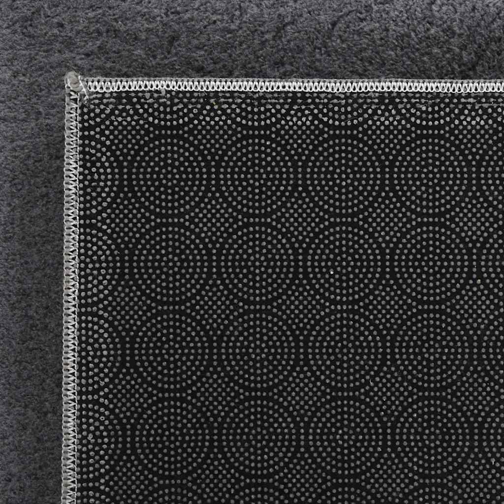 Shaggy Rug Polyester Width 240 cm Anthracite 340 cm