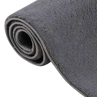 Shaggy Rug Polyester Width 240 cm Anthracite 340 cm