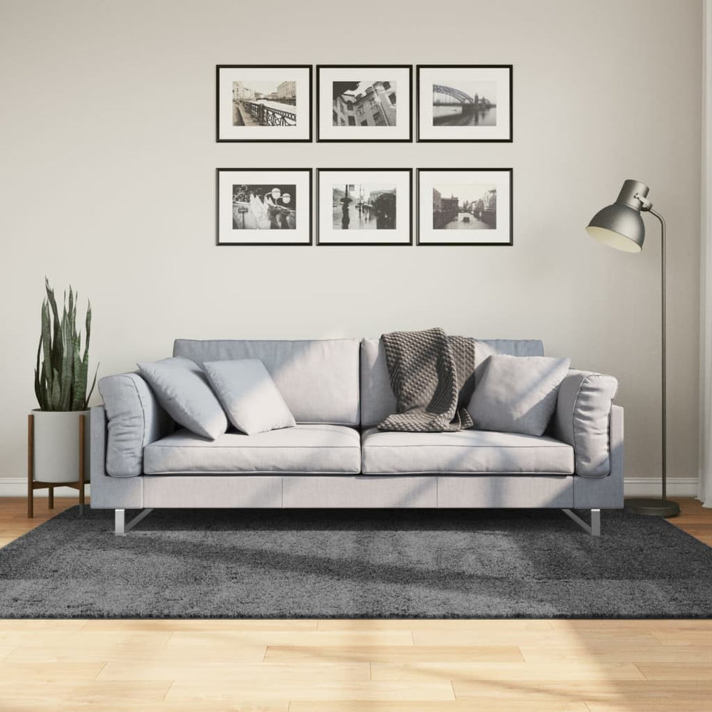 vidaXL Rug OVIEDO Short Pile Anthracite